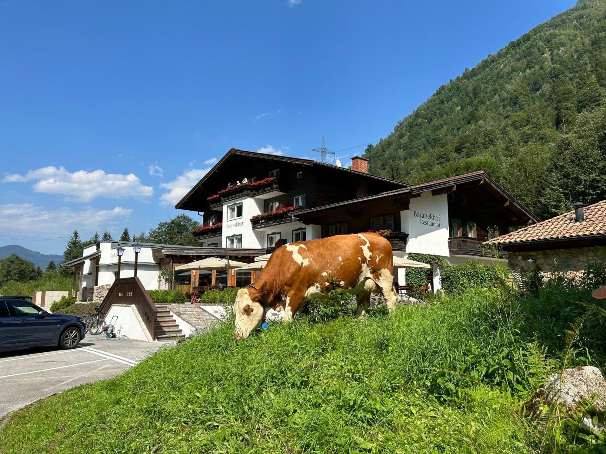 Pension Baranekhof - Accommodation In Nature - Baranek Resorts Kaprun Exterior foto